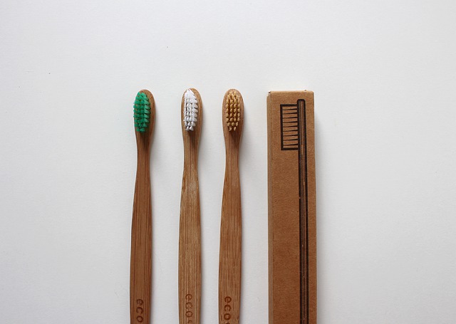 Brosse à dent bambou : tout ce que vous devez savoir sur la brosse à dent en bambou